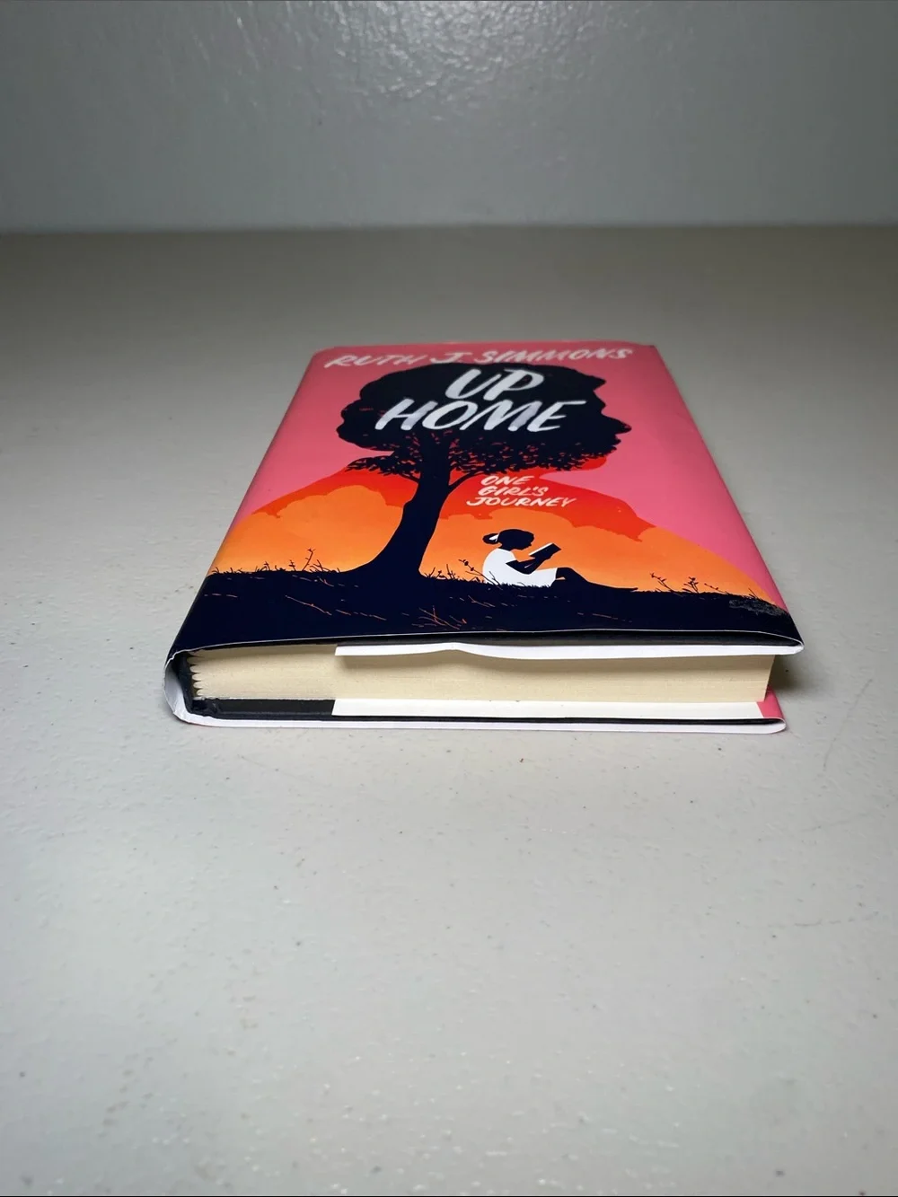 Up Home Decorative Book Cover - Pink